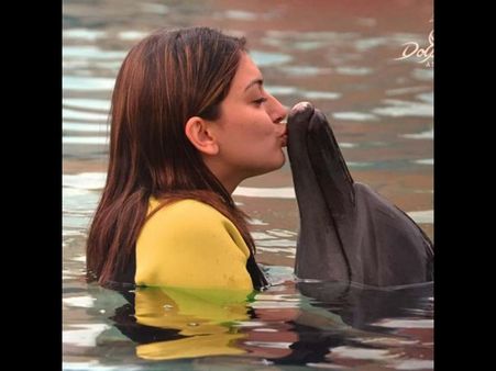 హన్సిక క్యూట్ కిస్: చిరకాల కోరిక తీరిందంటూ...