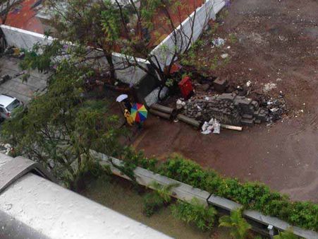 కుక్క పిల్లలను రక్షించిన పవన్ పిల్లలు(ఫొటోలు)