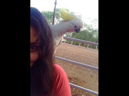 తన ప్రెండ్ ని పరిచయం చేసిన రేణు దేశాయ్ (ఫొటో)