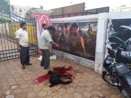 'బాహుబలి' కి బలి: అతి చేసిన ఫ్యాన్స్ ని పట్టుకోండి..25 వేలు రివార్డు