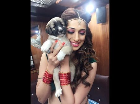 పవన్ సినిమా టైటిల్ కుక్కకు, హీరోయిన్‌పై ఫ్యాన్స్ ఫైర్ (ఫోటోస్)