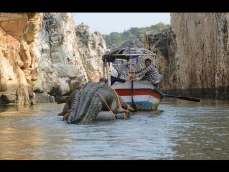 షాక్: హృతిక్ ‘మొహెంజోదారో’ సెట్లో భారీ మొసలి (ఫోటోస్)