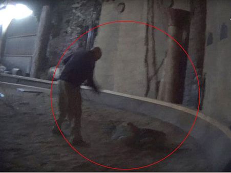 'లైఫ్ ఆఫ్ పై' కేసు : పులిని హింసించిన సాక్ష్యం (వీడియో)