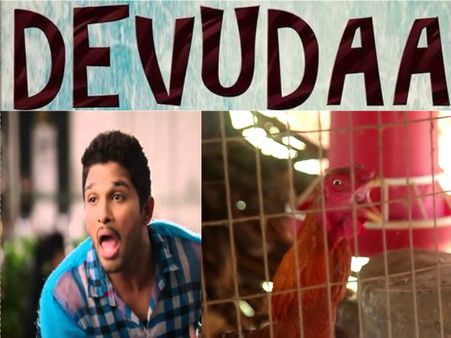 ఇదేం చిత్రం: బన్ని మ్యానరిజం...కోడి యాజటీజ్ దించేసింది (వీడియో)