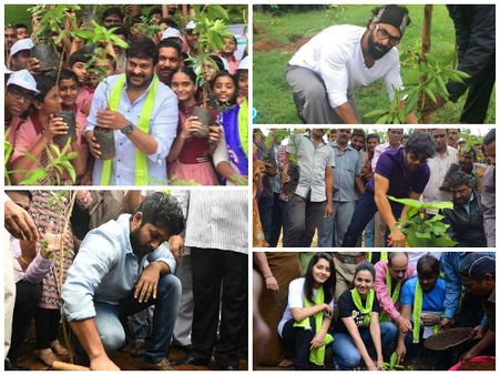 మొక్కోత్సవం: చిరు, నాగ్, బన్నీ, రానా..ఇంకా స్టార్స్ (ఫోటోస్)