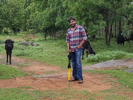 నచ్చేసి, మెచ్చేసుకుంటున్నారు: గోవుల మధ్య గోపాలుడులా.. (పవన్ కొత్త ఫొటో)