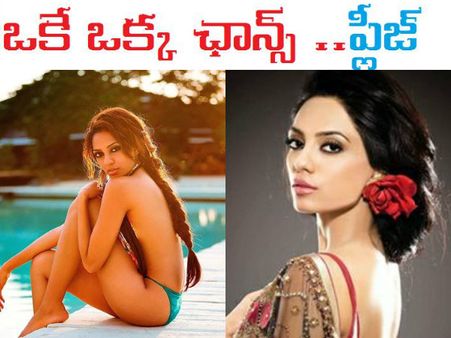 తెలుగు అమ్మాయే...బికినీ వేసింది, బాలీవుడ్ ని గెలిచింది, కానీ మనమే..