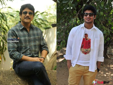 నిజమా..! రూమరా? నాగ్‌, నిఖిల్‌ మల్టీస్టారర్‌?