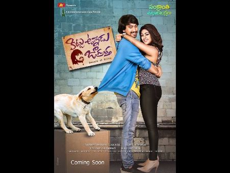 కిట్టుగాడు.... వచ్చే డేట్ ఫిక్స్అయింది