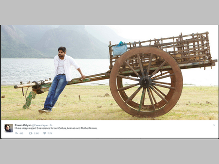 మాంసం కోసం చంపే పశువుల సంగతేమిటి?? జల్లికట్టుపై స్పందించిన పవన్