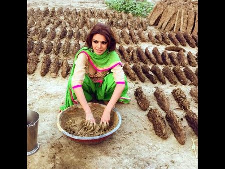 షాకింగ్: కామసూత్ర బ్యూటీ పిడకలు చేస్తూ ఇలా (ఫోటోస్)