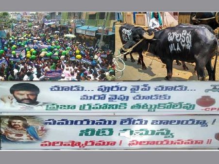 బాలయ్యకు అవమానం... దున్నపోతులపై, ఇంత దారుణంగానా