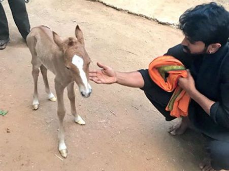 రామ్ చరణ్ ఇంట్లో కొత్త ఫ్యామిలీ మెంబర్: ఉపాసన ట్వీట్ చేసింది