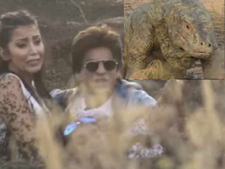 షారుక్ డబ్బు కోసం కక్కుర్తి పడ్డాడా? రియాల్టీ షో అంతా నాటకమేనా? వివరాలు ఇవిగో..