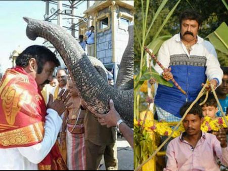 జై సింహా జోష్.. ఎడ్లబండిపై ఊరేగిన బాలయ్య