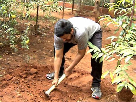 మెగా హ‌రిత‌హారం.. ప‌చ్చ‌ద‌నానికి నేను సైతం.. చిరంజీవి