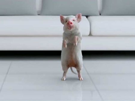 రవిబాబు మూవీ ‘అదుగో’ టీజర్ వచ్చేసింది