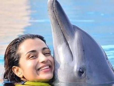 దుబాయ్‌లో త్రిష.. డాల్ఫిన్లతో జలకాలట. వైరల్‌గా మారిన ఫొటోలు