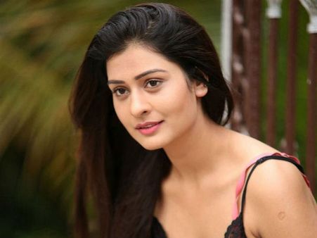 రవితేజతో పాయల్ రాజ్‌పుత్ రొమాన్స్.. క్రేజీ ఆఫర్ దక్కించుకున్న పంజాబీ భామ!