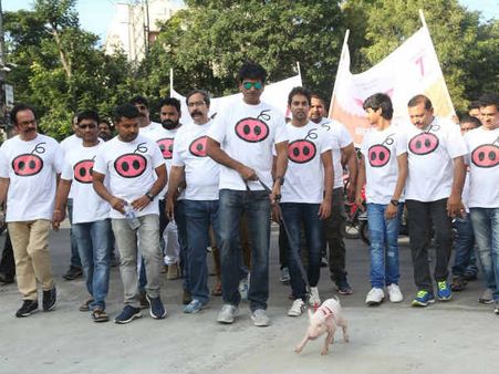 స్టార్ హీరోలు లేరు... అందుకే పందితో పాదయాత్ర: రవిబాబు సంచలనం!