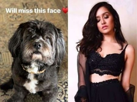 ప్రభాస్ సినిమా.. కుక్క పిల్ల కోసం భాదపడుతున్న హీరోయిన్!