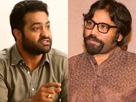 జూ.ఎన్టీఆర్‌తో హింస, ప్రేమ.. అర్జున్ రెడ్డి డైరెక్టర్ క్రేజీ ప్లానింగ్!