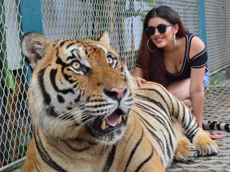 అయ్యో పాపం మాళవిక! ఎంజాయ్ చేసింది.. కానీ బుక్కైపోయిందా..?