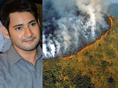 ఆ న్యూస్ విని డిస్ట్రబ్ అయిన మహేష్ బాబు... ఆవేదనతో ట్వీట్!