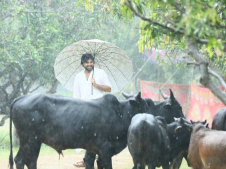 వ్రతాన్ని ప్రారంభించిన పవన్ కళ్యాణ్.. ఆవుల మధ్య గోపాలుడిలా పవర్ స్టార్.. వైరల్ అవుతోన్న పిక్స్