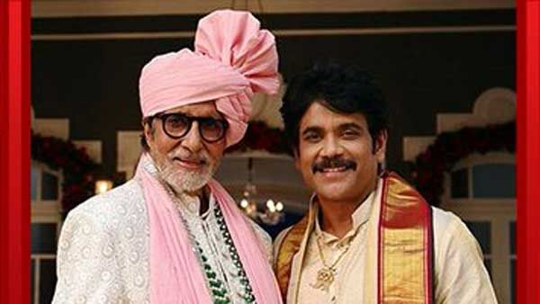 ఘనంగా కత్రినా కైఫ్ పెళ్లి! అమితాబ్ దంపతుల హంగామా.. నాగార్జున స్పెషల్ అట్రాక్షన్