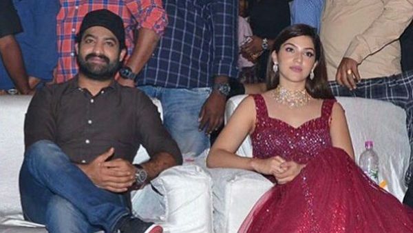 ఎన్టీఆర్‌పై మెహ్రీన్ లవ్! ఫోటోలు షేర్ చేస్తూ ట్వీట్