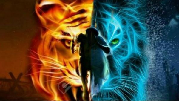 NTR ఫ్యాన్స్‌కు చేదువార్త.. నిరాశ పడొద్దు అని RRR యూనిట్ ప్రకటన