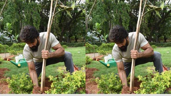 ఛాలెంజ్‌‌ను స్వీకరించిన కార్తికేయ.. ప్రతీ ఒక్కరూ భాగస్వామ్యం కావాలని పిలుపు