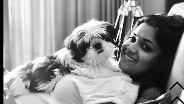 కీర్తి సురేష్ మరో కొత్త లుక్.. కుక్కతో సెల్ఫీ దిగుతూ..