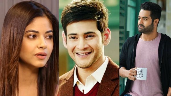 మీరాచోప్రా‌పై ఎన్టీఆర్ ఫ్యాన్స్ తిట్ల దండకం.. వేశ్య, తిరుగుబోతు, పోర్న్‌స్టార్ అంటూ..