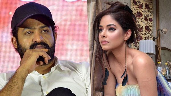 రేప్ బెదిరింపులతో ఎన్టీఆర్‌ ఫ్యాన్స్‌కు జైలు శిక్ష! ఎన్టీఆర్‌పై ఒత్తిడి పెంచుతున్న మీరా చోప్రా