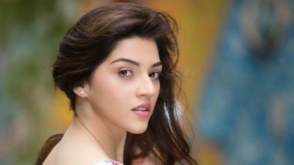 డైలమాలో పడ్డ హనీ, కన్నడ పరిశ్రమపైనే మెహ్రీన్ ఆశలు