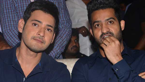 మహేష్ బాబు లేజీ, ఎన్టీఆర్ క్రేజీ.. క్షమాపణలు చెప్పాల్సిందే.. ఆ సినిమాపై సూపర్ స్టార్ ఫ్యాన్స్ ఫైర్