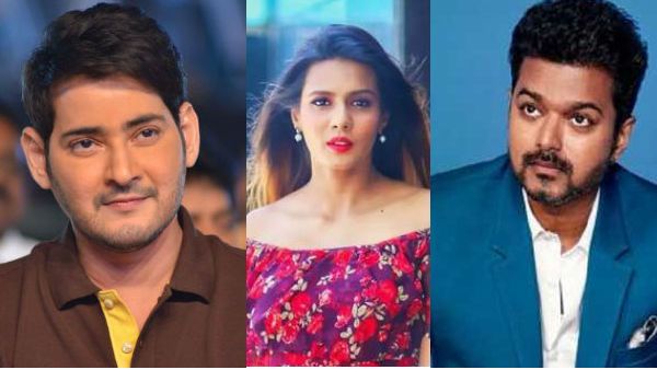 నీవో వీధి కుక్కవు.. పబ్లిసిటీ కోసం మొరగొద్దు.. మీరా మిథున్‌పై విజయ్, మహేష్‌ ఫ్యాన్స్ ఫైర్