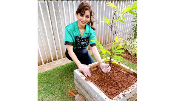 గ్రీన్ ఇండియా ఛాలెంజ్.. మొక్కలు నాటిన బాలీవుడ్ బ్యూటీ