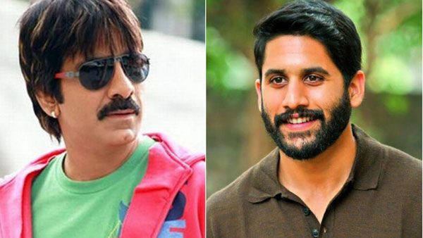 మాస్ రాజాతో నవ మన్మధుడి పోటీ... సంక్రాంతి రేసులో కుర్రహీరోల హంగామా