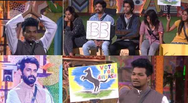 బిగ్‌బాస్‌లో ఎలక్షన్ ఫీవర్.. పొలిటిషియన్స్‌గా అఖిల్, అవినాష్.. గెలిచింది ఎవరంటే!