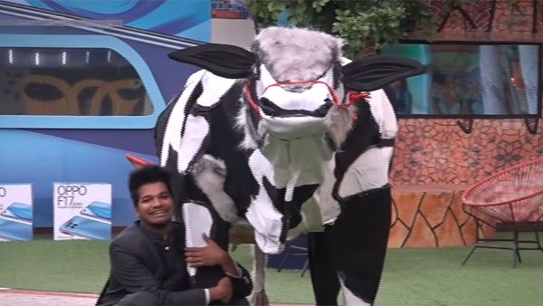 Bigg boss 4 Elimination: నాగార్జున ఇచ్చిన ట్విస్టుకు కాళ్లు పట్టుకున్న అవినాష్.. అయోమయంలో మోనాల్