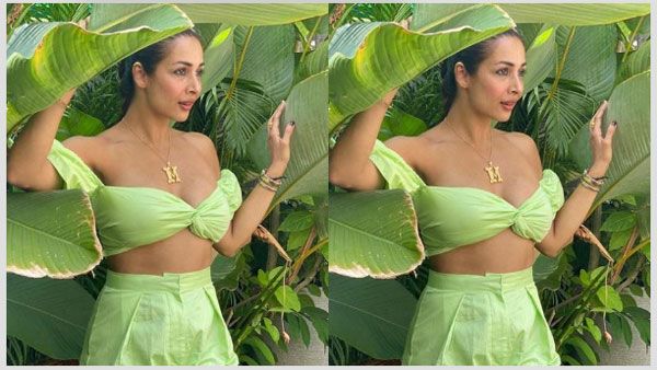 ఆకుల మధ్య మలైకా అందాలు.. నాటి ఫోటోపై చర్చ.. గోవాలో స్పెషల్ షూట్