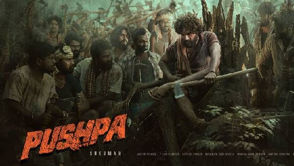 ‘పుష్ప’లో బన్నీ ఒక్కడే కాదు.. ఇద్దరు హీరోలు: పోస్టర్‌లో ఉన్నది మరొకరు.. బయటపడ్డ రహస్యం!