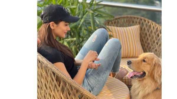 బేరమాడుతోందట.. పూజా హెగ్డే పిక్ వైరల్