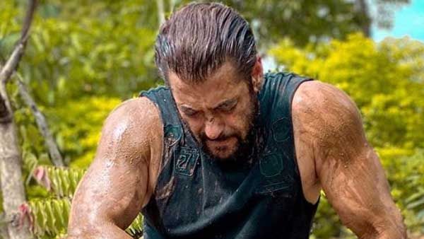 రైతుల ఆందోళనపై పెదవి విప్పిన సల్మాన్ ఖాన్.. హాట్ కామెంట్లు చేసిన కండల వీరుడు