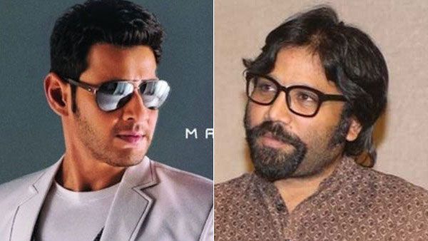 మహేష్ బాబుతో సినిమాపై క్లారిటీ ఇచ్చిన అర్జున్ రెడ్డి దర్శకుడు.. నమ్రత సలహాతో..