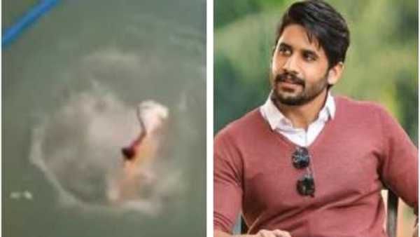 నాగ చైతన్య కోసం నదిలో దూకిన అభిమాని: షూటింగ్ క్యాన్సిల్.. చివరికి ఏం జరిగిందో తెలిస్తే!