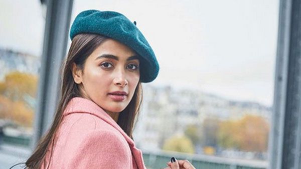 సూపర్‌స్టార్‌ను పట్టేసిన పూజా హెగ్డే.. షాకింగ్‌గా రెమ్యునరేషన్‌.. బ్యూటీ డిమాండ్‌కు నిర్మాతలు ఒకే!